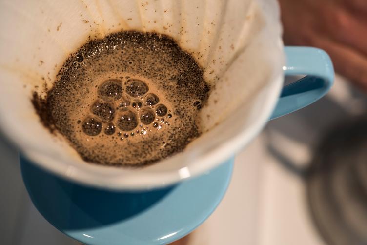 SCA BREWING FOUNDATION KURSBESCHREIBUNG